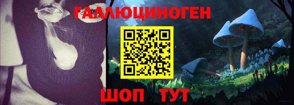 Галлюциногенные грибы мухоморы Сургут