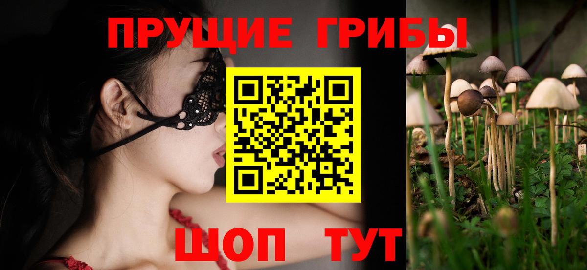 Сургут  Галлюциногенные грибы Psilocybine cubensis  Псилоцибиновые грибы Cubensis  Вход с VPN 